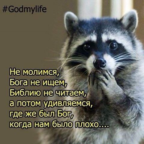 Valesa - 8  2016  21:05