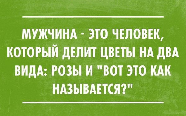  - 3  2016  12:53