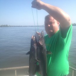 ������, ������