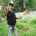 ���� �����, ��������� - ��������� 28 ���� 2016 � ������ ���� ����������