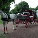 ���� ������� ���������, ������ - ��������� 6 ���� 2016 � ������ �������� 04.06.2016�