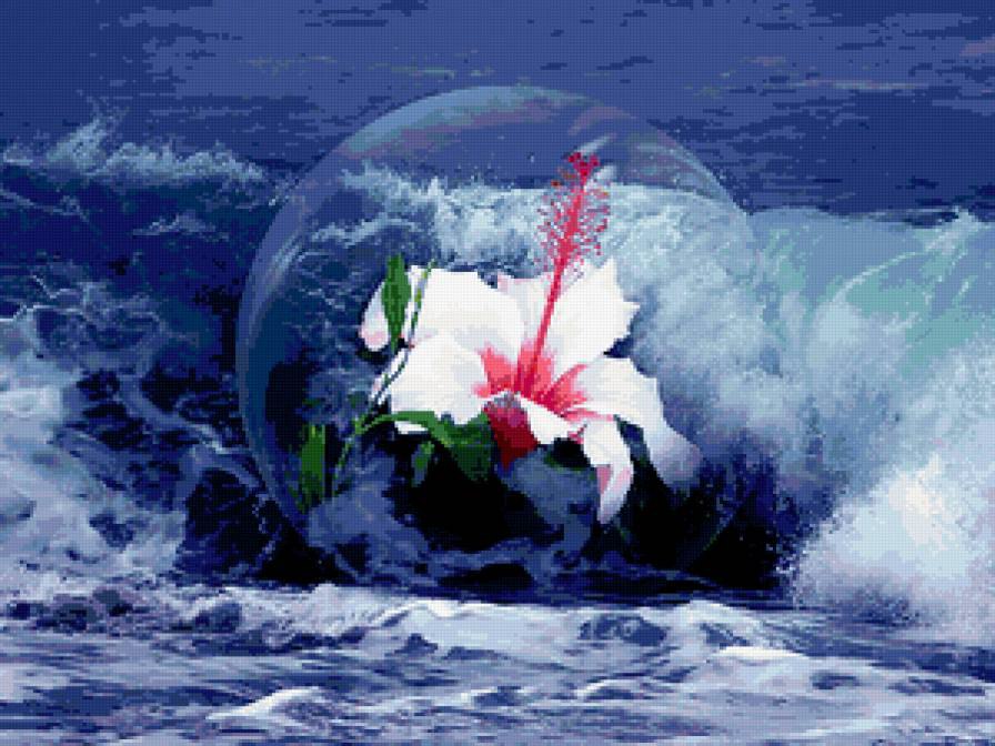 ������� � ����� ����-��������� ���� �����. - 4