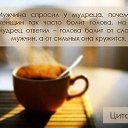 ���� ��������, ������������ - ��������� 16 ���� 2016 � ������ ���� ����������