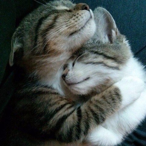 ��� � ���� ������, ��� ��� ��� ��������.