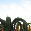 ���� �������, ������, 67 ��� - ��������� 4 ���� 2016 � ������ ���� ����������