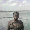  , , 61  -  13  2016   -
