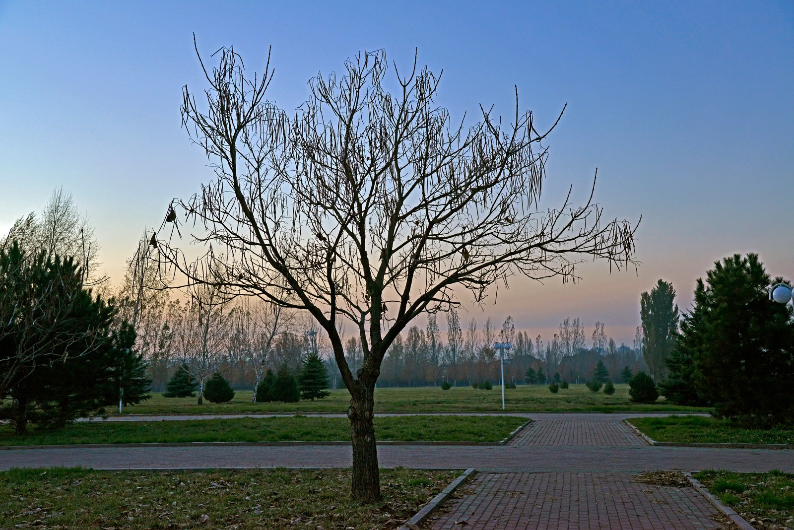 ��� ������������ � ����������� ���������� 8 ��� �����