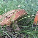  , -- -  24  2016    2016