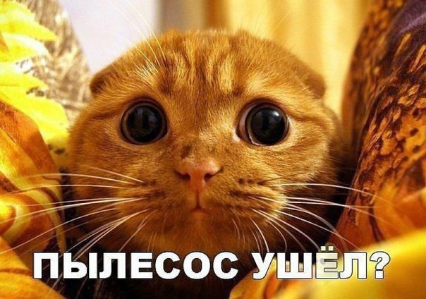   .,    ! <a href=