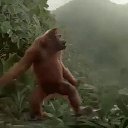 ���� �������, �������, 39 ��� - ��������� 3 ��� 2016 � ������ ���� ����������