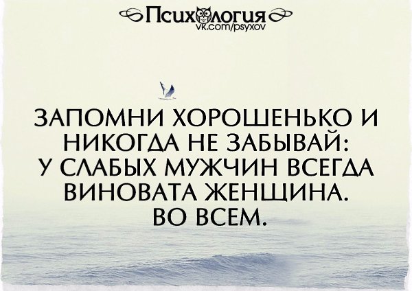 ���������� - 25 ���� 2016 � 16:38
