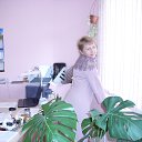 ���� ��������, ������-��-����, 55 ��� - ��������� 26 ��� 2016 � ������ ���� ����������