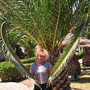 ���� ��������, ��������������� - ��������� 1 ������� 2016 � ������ ������ 2016�