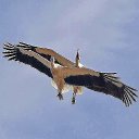 ���� Andre, ������ - ��������� 7 ���� 2016