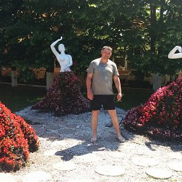 ���� ������, �����, 41 ��� - ��������� 5 ������ 2016