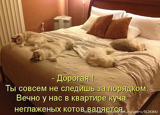 Мы боимся дружить, потому что боимся быть преданными. Я знаю много людей, обожженных предательством, ...