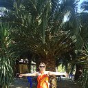 ���� �����, ������, 50 ��� - ��������� 25 ��� 2016 � ������ ���� ����������