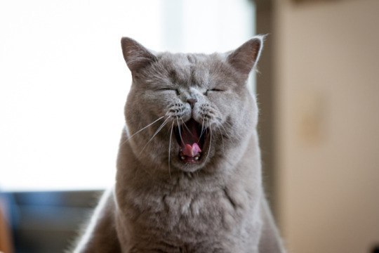 ���� � ��� �� ������, ��, ��������, �� ��� :)