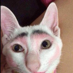 ����, ��������, 53 ����