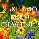 ���� ������, ����������, 68 ��� - ��������� 3 ������ 2016 � ������ �������� ��������