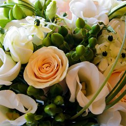 ���� �����, �����, 49 ��� - ��������� 6 ��� 2016