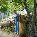 ���� �������, ������������, 66 ��� - ��������� 4 �������� 2016 � ������ ���� ����������