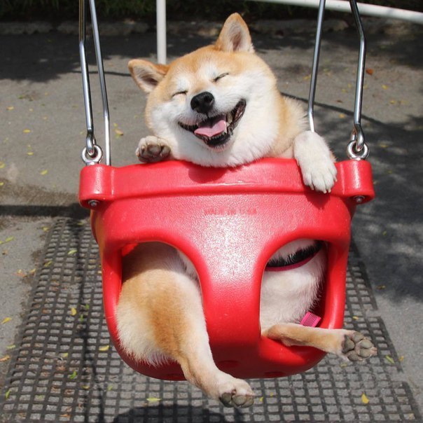:3