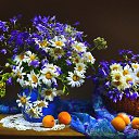 ���� ����, ������ - ��������� 3 �������� 2016 � ������ ���� ����������