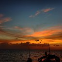 ���� ������, �����������, 43 ���� - ��������� 18 ������ 2016 � ������ ���� �������