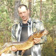 ������, 48 ���, ����