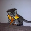 ���� Enohcka, ������������ - ��������� 30 ���� 2016 � ������ ���� ����Ȼ