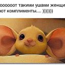 ���� �����, ������ �������� - ��������� 15 ����� 2016 � ������ ������ ��������