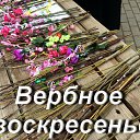 ���� �������, ����� - ��������� 24 ������ 2016 � ������ �������� �����������