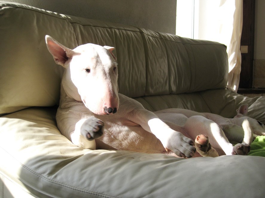 Воскресенье - набираемся сил перед рабочей неделей! Фотограф Андрей Кашпура) - 2