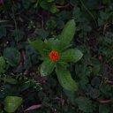 ��� ��������� ���� ��� �� ������� ���� ����������