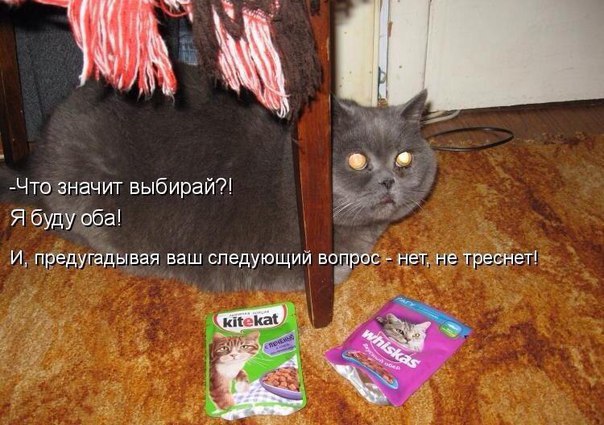 ��� �������� �������� - 18 ���� 2016 � 09:11