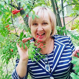 ���� Lena, ����������� - ��������� 4 ��� 2016