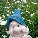 ���� ������, �����������, 71 ��� - ��������� 13 ���� 2016 � ������ ���� ����������