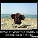 ���� ����, ����� - ��������� 23 ����� 2016 � ������ ������ ��������