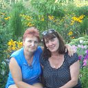 ���� �����, ������, 66 ��� - ��������� 3 ������� 2016 � ������ ������ ��������