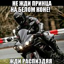 ���� �����, ���������, 40 ��� - ��������� 1 ���� 2016 � ������ ������ ��������