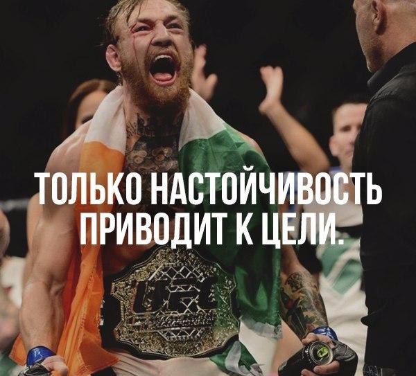 IQ Blog: , , ,  - 5  2016  07:05