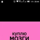 ���� ������, �����-��������� - ��������� 12 ������ 2016 � ������ ���� ����������