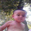  , -, 43  -  24  2016    