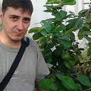  , -, 39  -  15  2016    