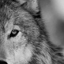 ���� �����, ������, 51 ��� - ��������� 30 ���� 2016 � ������ ������ ��������