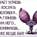 ���� �����, ������ - ��������� 29 ������� 2016 � ������ ������ ��������