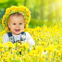 ���� Sem, ����, 43 ���� - ��������� 27 ������ 2016 � ������ ���� ����������