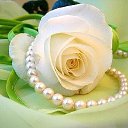 ���� �������, ���, 55 ��� - ��������� 3 ������ 2016 � ������ ������ ��������