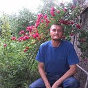 ���� ���������, ������, 48 ��� - ��������� 26 ���� 2016 � ������ ���� ����������